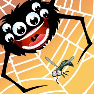 《小蜘蛛》20170523