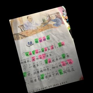 《陈毅探母》