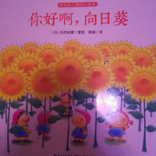 你好啊，向日葵🌻