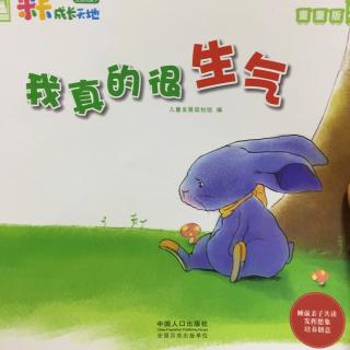 我真的很生气(寒宝宝版)