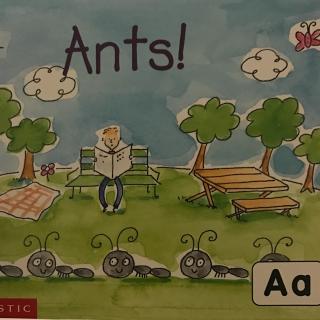 【字母A】Ants