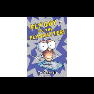 Fly Guy vs. FlySwatter