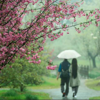 汪国真  雨的随想