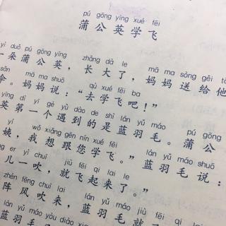 蒲公英学飞