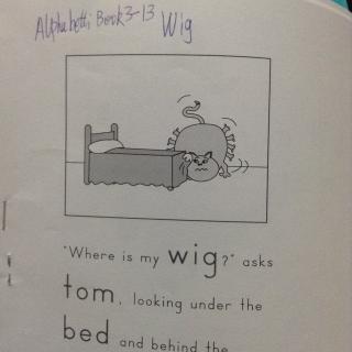 Alphabetti Book 3-13 Wig