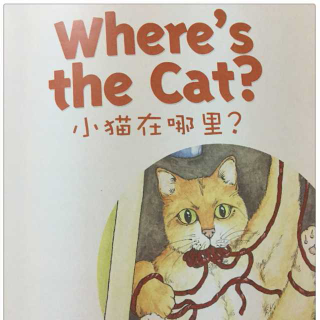 20170525《Where's the cat》