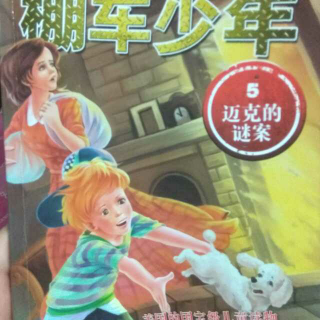 棚车少年2迈克的谜案11-14大结局