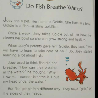 Do Fish Breathe Water