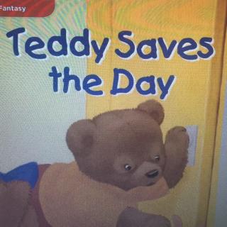 Teddy saves the day