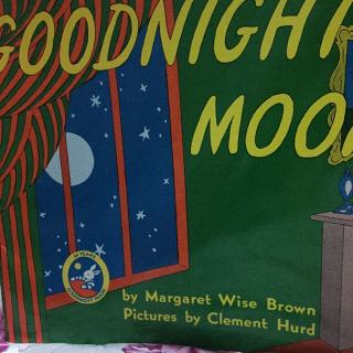 goodnight moon