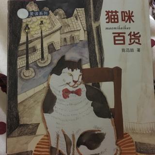 老猫讲故事-猫咪百货3