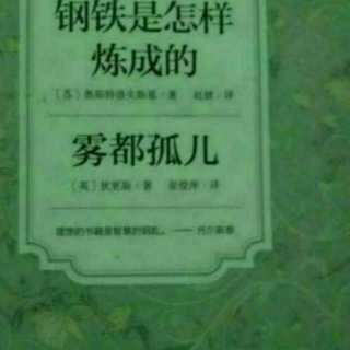 钢铁是怎样炼成的——第二部第四章（1）