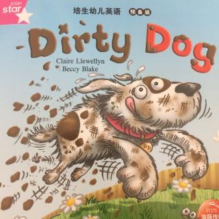 dirty dog