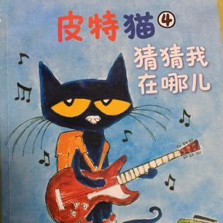 皮特猫猜猜我在哪
