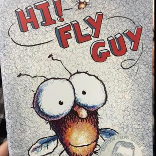 No.78 Hi Fly Guy