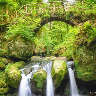 古诗《望岳》《登飞来峰》