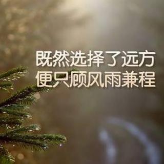 【励志分享】你就是你，你是激昂的风雨