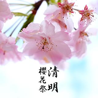 日语歌词清晰朗读-樱花樱花想见你