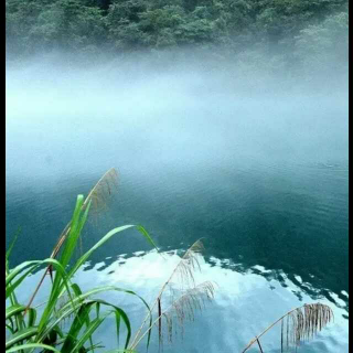 写在今天