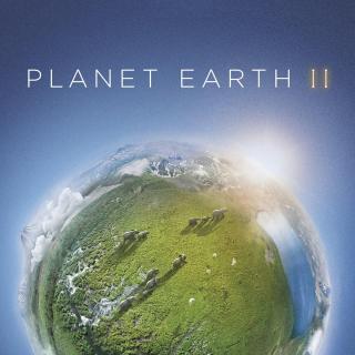 Planet Earth S2-06