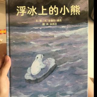 浮冰上的小熊