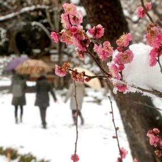 日语学习 日本人的奇葩审美观~