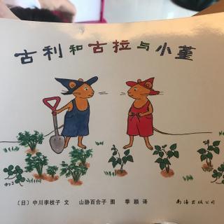 古利和古拉与小堇