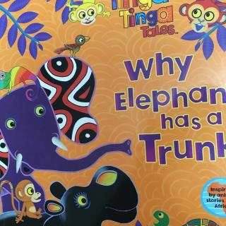 why elephant has a trunk