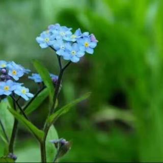 童年的五月    雨幕