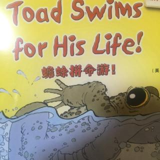 Toad swims for his life