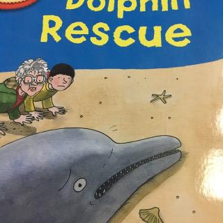 dolphin rescue - self reading