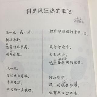 树是风狂的歌迷---郁旭峰