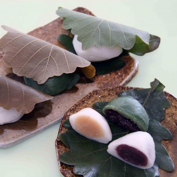 日本端午节的"粽子"