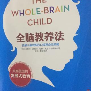 全脑教养法－2改善孩子的情绪，整合左右脑