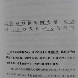 12-15不要忽视微弱的力量，有时它也会散发出迷人的芬芳