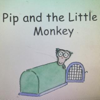 pip and the little monkey