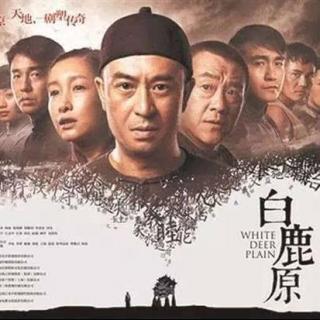 9.0分的《白鹿原》是真精彩，还是附庸风雅的人太多？