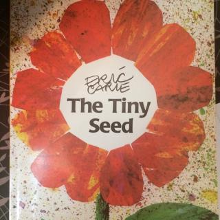 The tiny seed