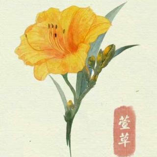 端午节--竞渡诗