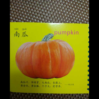 🎃南瓜儿歌和营养知识