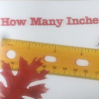 Letter I How many inches