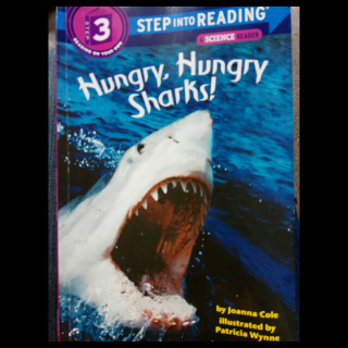 hungry, hungry sharks!