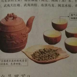 《茶》11：乌龙茶、黑茶、普洱茶、六堡茶