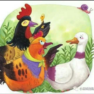 【故事237】《一只母鸡叫葱花》喜洋洋幼儿园睡前故事