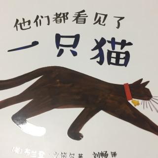 他们都看见了一只猫