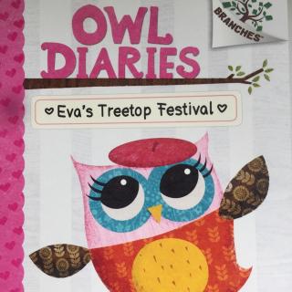 Owl Diaries Book 1 Eva's Treetop Festival