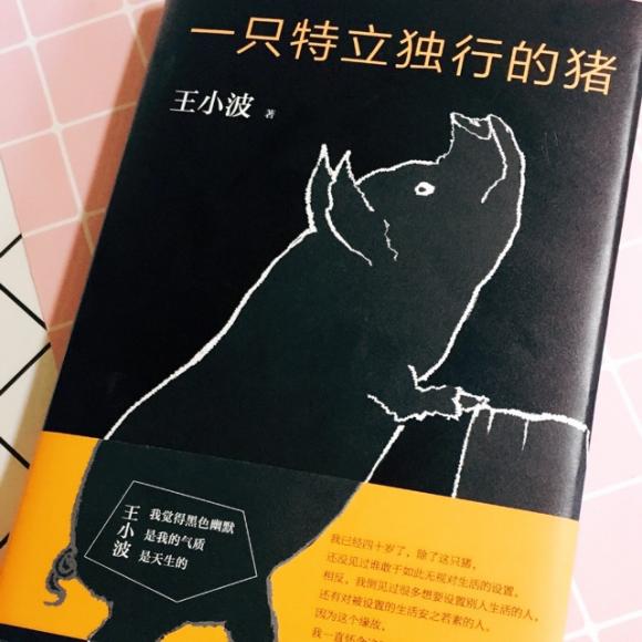 一只特立独行的猪封面图片