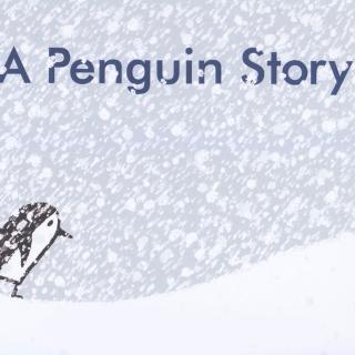 A Penguin Story 一只小企鹅