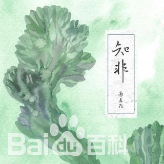 我一定会爱上你/谢春花