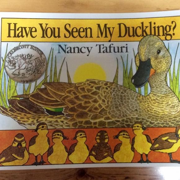have you seen my ducking?